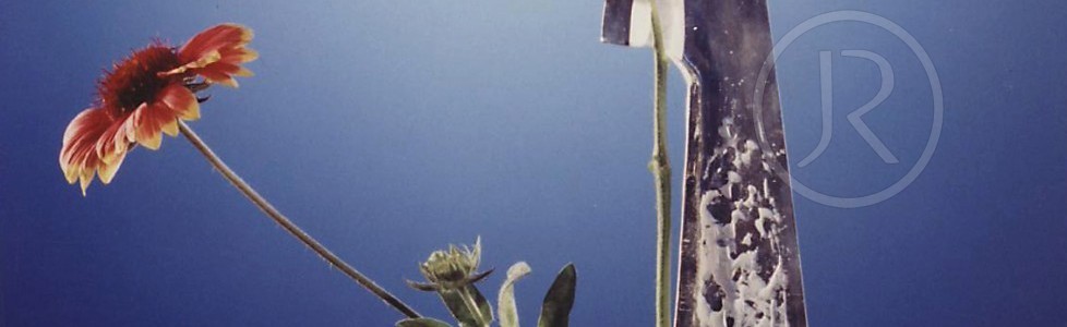 Květinová plastika – Flower sculpture – JR 82
