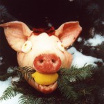 Silvestr