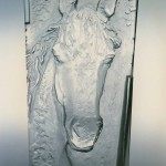 Hlava koně – Horsehead – positiv